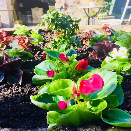 La Torre De La Quintana Vendégház 4*