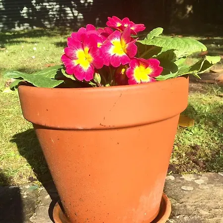 La Torre De La Quintana