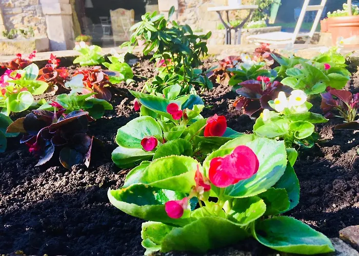 La Torre De La Quintana بيت ضيافة 4*